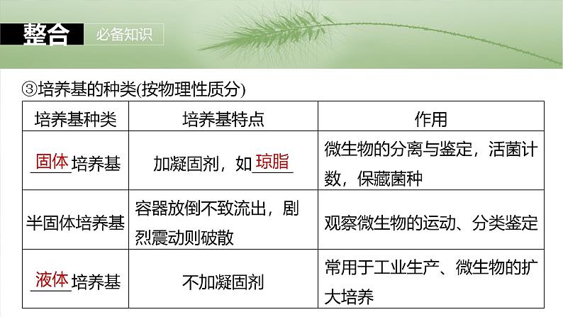 2025年高考生物一轮复习课件(新人教版) 第10单元 第57课时 微生物的培养技术与应用06