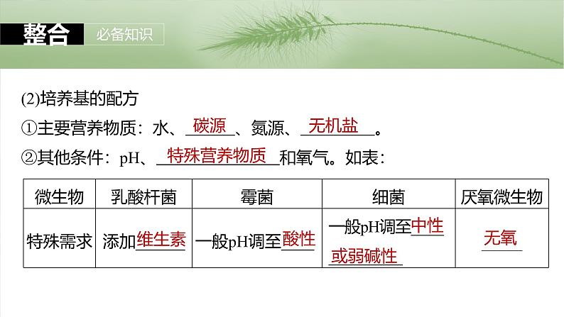 2025年高考生物一轮复习课件(新人教版) 第10单元 第57课时 微生物的培养技术与应用07