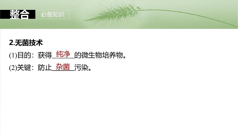 2025年高考生物一轮复习课件(新人教版) 第10单元 第57课时 微生物的培养技术与应用08
