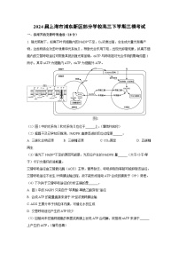 2024届上海市浦东新区部分学校高三下学期三模考试生物试卷(解析版)