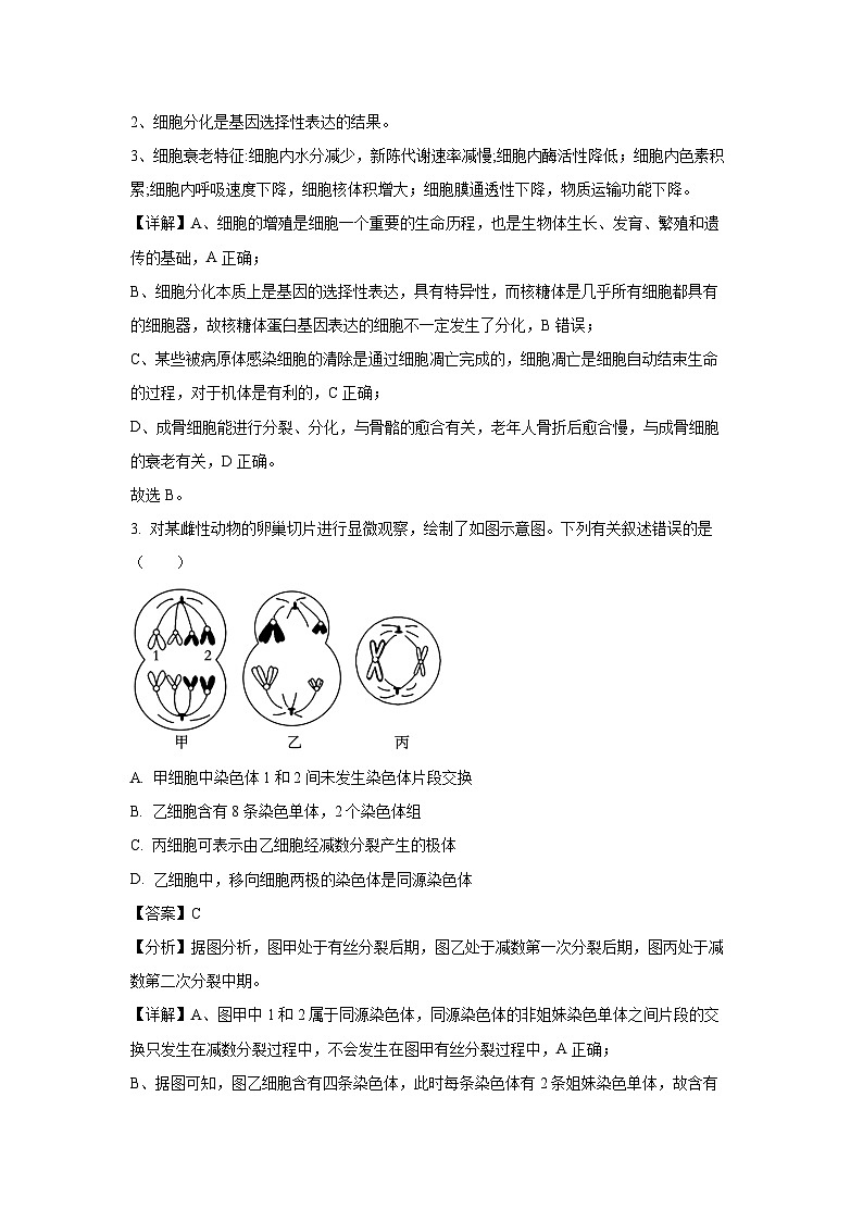 河北省辛集市2022-2023学年高二下学期7月期末生物试卷(解析版)02