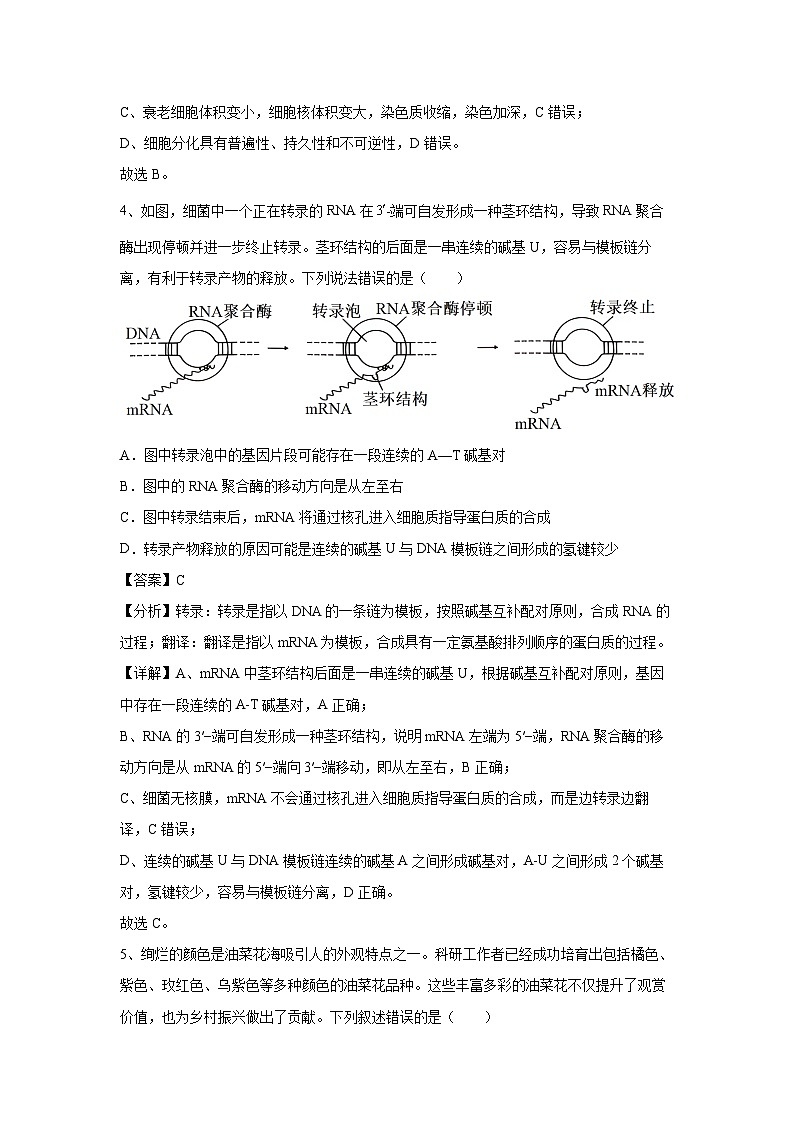 卷02-备战2024年高考生物临考压轴卷(湖南卷)生物试卷(解析版)第3页