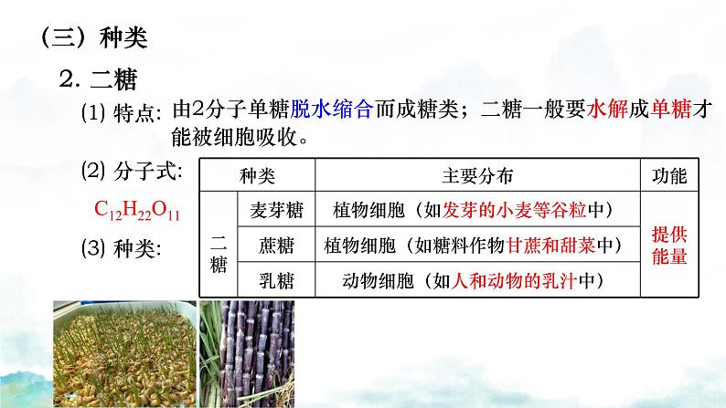 2.3 细胞中的糖类和脂质-2024-2025学年高一生物同步教学实用课件(人教版2019必修1)05