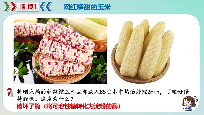 5.1 降低化学反应活化能的酶(一 酶的作用和本质)-2024-2025学年高一生物同步教学课件(人教版2019必修1)第3页