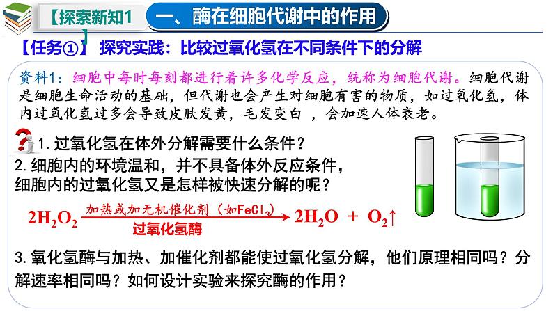 5.1 降低化学反应活化能的酶(一 酶的作用和本质)-2024-2025学年高一生物同步教学课件(人教版2019必修1)第5页