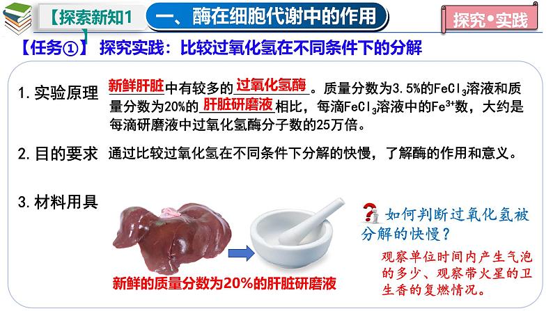 5.1 降低化学反应活化能的酶(一 酶的作用和本质)-2024-2025学年高一生物同步教学课件(人教版2019必修1)第6页