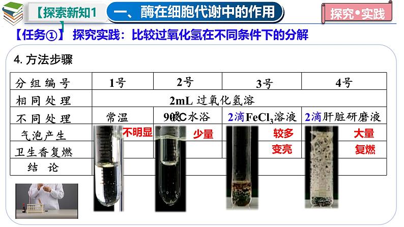 5.1 降低化学反应活化能的酶(一 酶的作用和本质)-2024-2025学年高一生物同步教学课件(人教版2019必修1)第7页