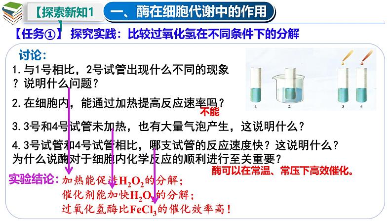 5.1 降低化学反应活化能的酶(一 酶的作用和本质)-2024-2025学年高一生物同步教学课件(人教版2019必修1)第8页
