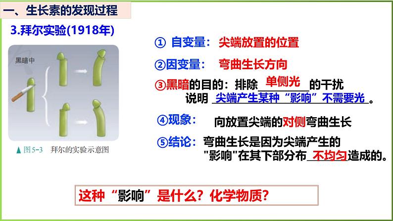 5.1 植物生长素-2024-2025学年高二生物上册同步备课课件(人教版2019选择性必修1)第8页