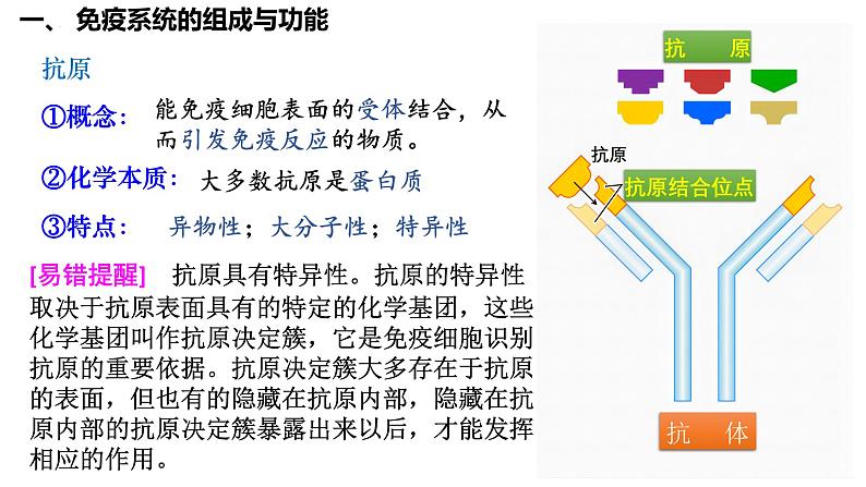 第39讲 免疫系统的组成、功能、特异性免疫- 备战2025年高考生物一轮复习精品课件08