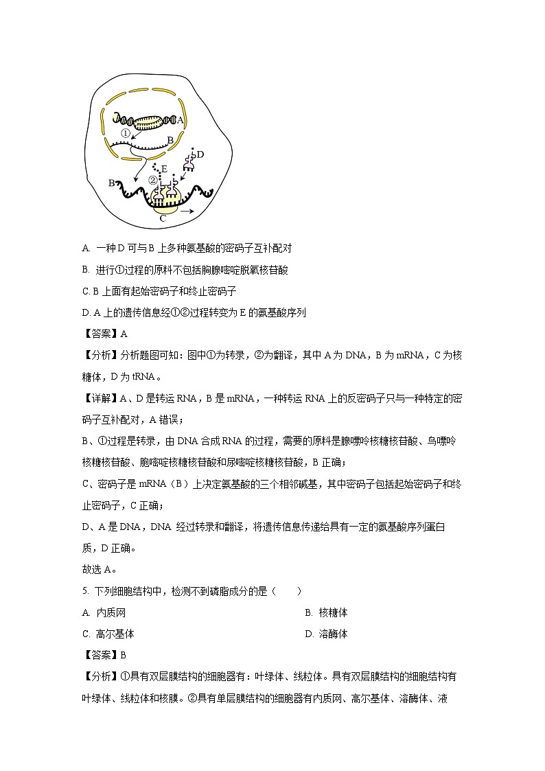 2024届重庆市乌江新高考协作体高三模拟预测生物试卷(解析版)第3页