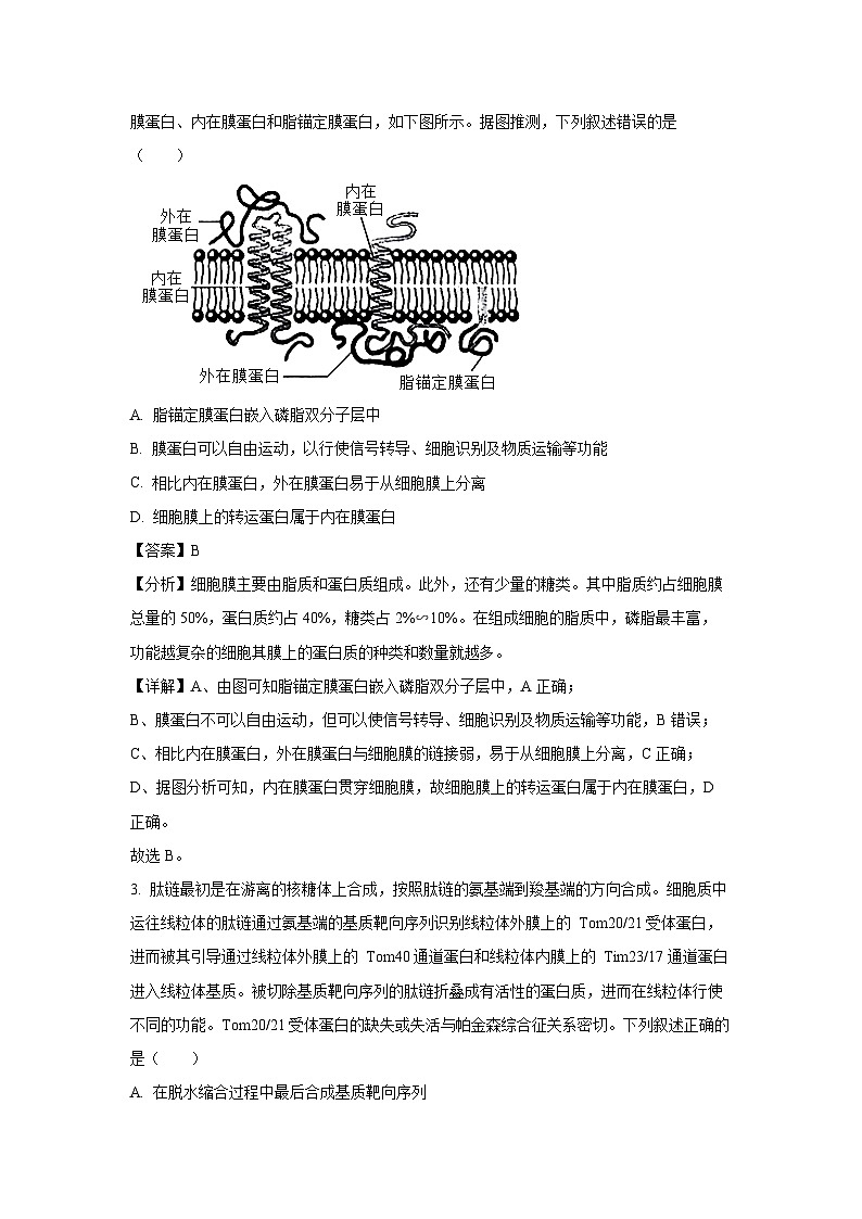 2024届山东省济南市高三下学期5月高考针对性训练生物试卷(解析版)第2页