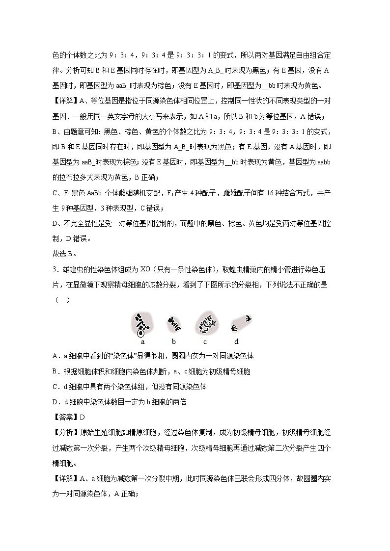 北京市2023-2024学年高一下学期期末冲刺卷生物试卷(解析版)第2页