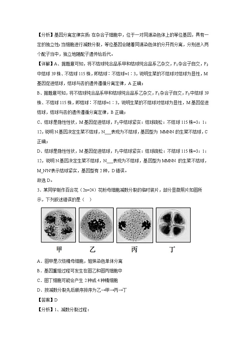 北京市2023-2024学年高一下学期期末冲刺卷2生物试卷(解析版)第2页