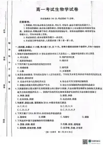 辽宁省辽阳市2024-2025学年高一上学期期中考试生物试卷（PDF版附答案）