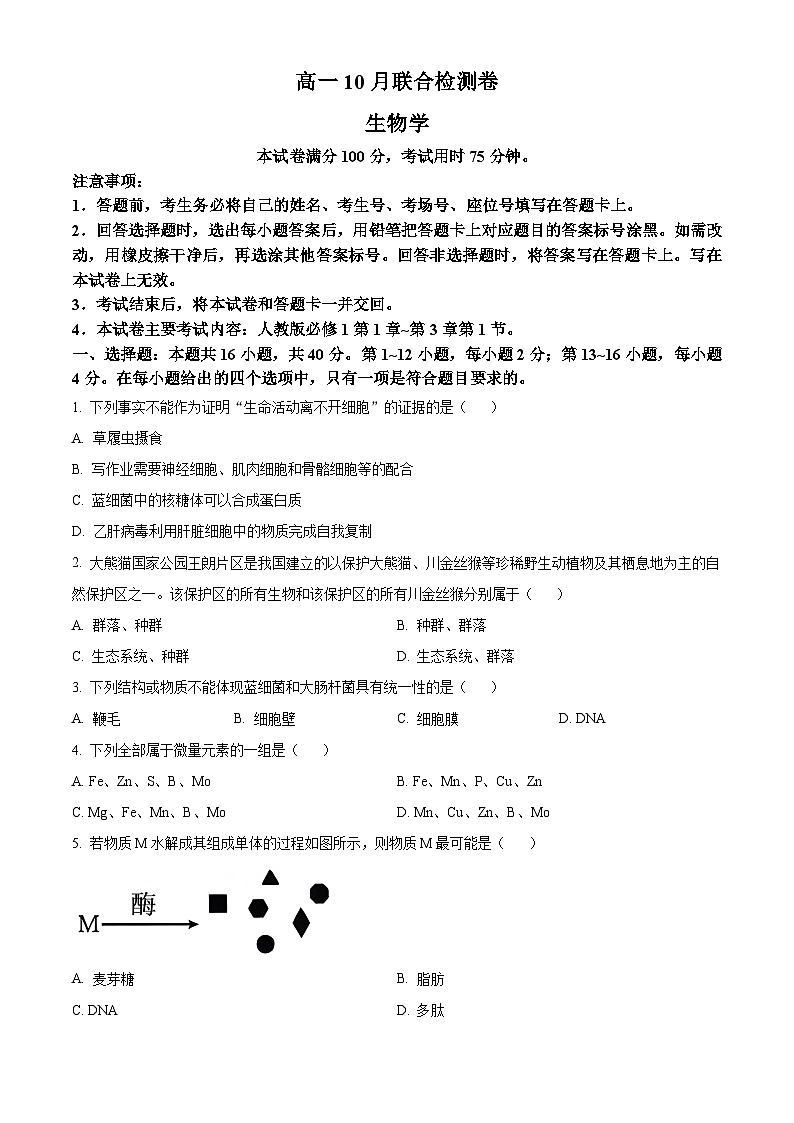 广西部分名校2024-2025学年高一上学期10月联合检测生物试卷(Word版附答案)第1页