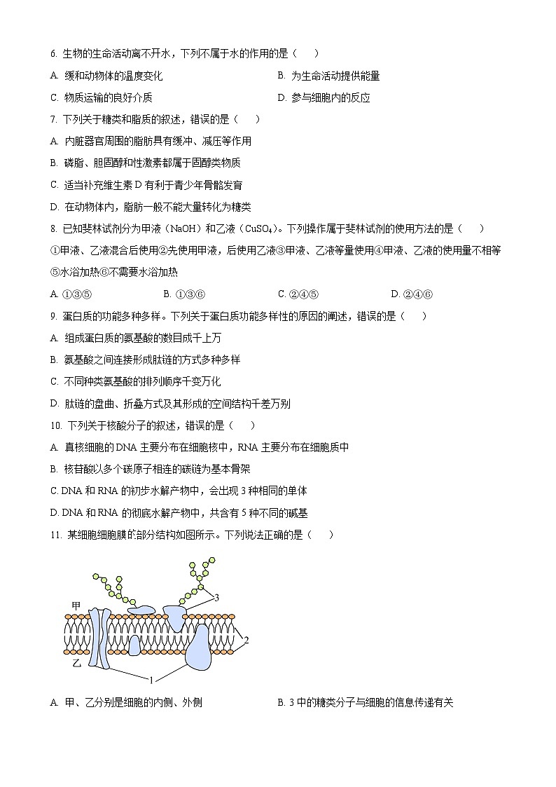 广西部分名校2024-2025学年高一上学期10月联合检测生物试卷(Word版附答案)第2页