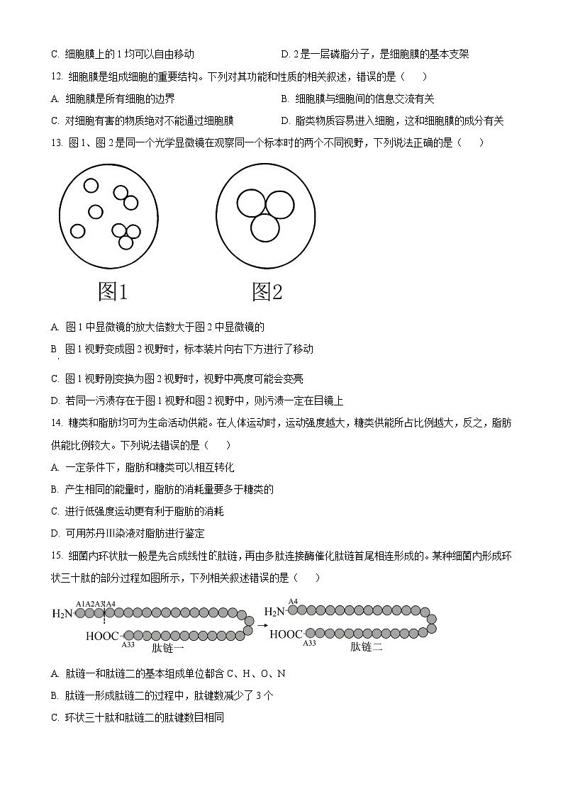 广西部分名校2024-2025学年高一上学期10月联合检测生物试卷(Word版附答案)第3页