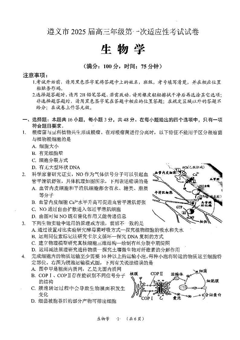 遵义市2025届第一次适应性考试生物试卷第1页