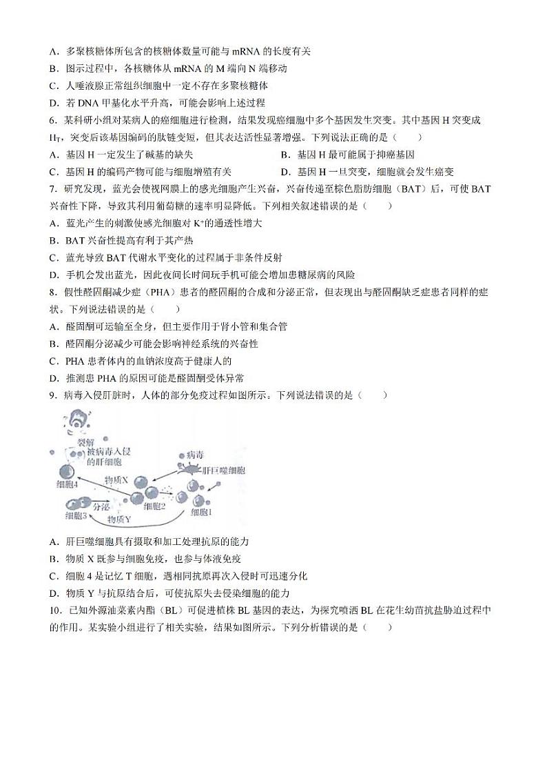 2025届高三金太阳百万高三上学期9月开学联考生物试卷(有解析)第2页