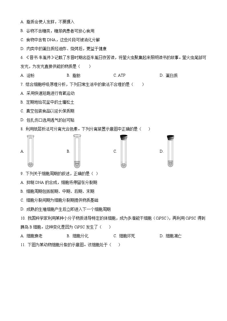 2024年北京市第二次普通高中学业水平合格性考试生物试卷 Word版无答案第2页