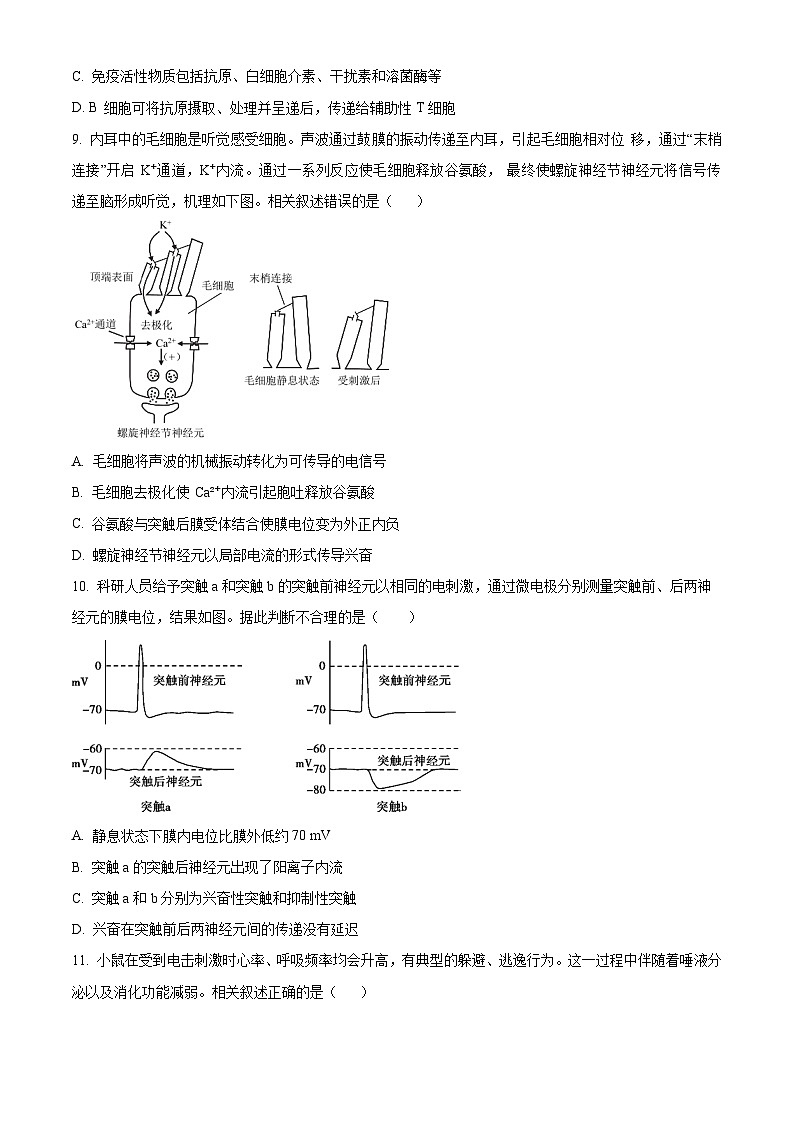 北京市第八十中学2024-2025学年高二上学期期中考试生物试题 Word版无答案第3页