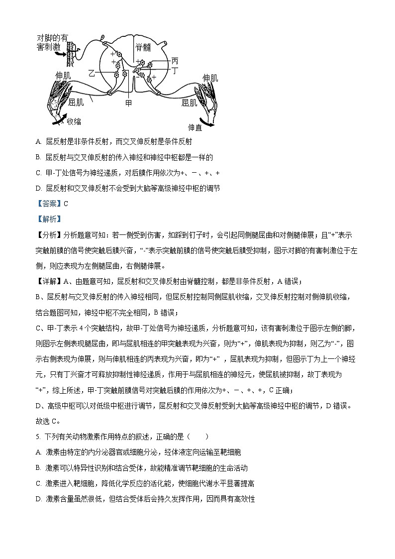 北京市第八十中学2024-2025学年高二上学期期中考试生物试题 Word版含解析第3页