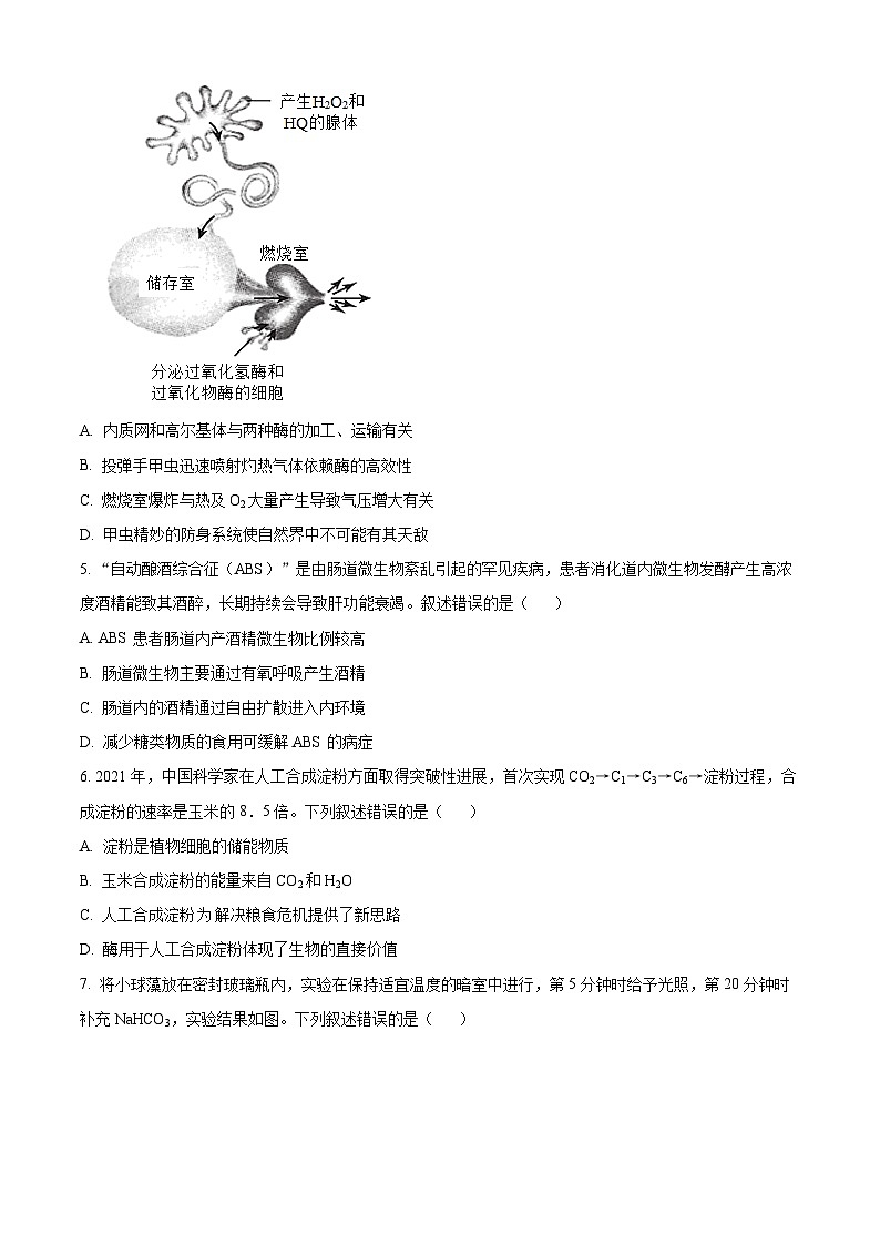 北京市第四十四中学2024-2025学年高三上学期十月月考生物试题 Word版无答案第2页