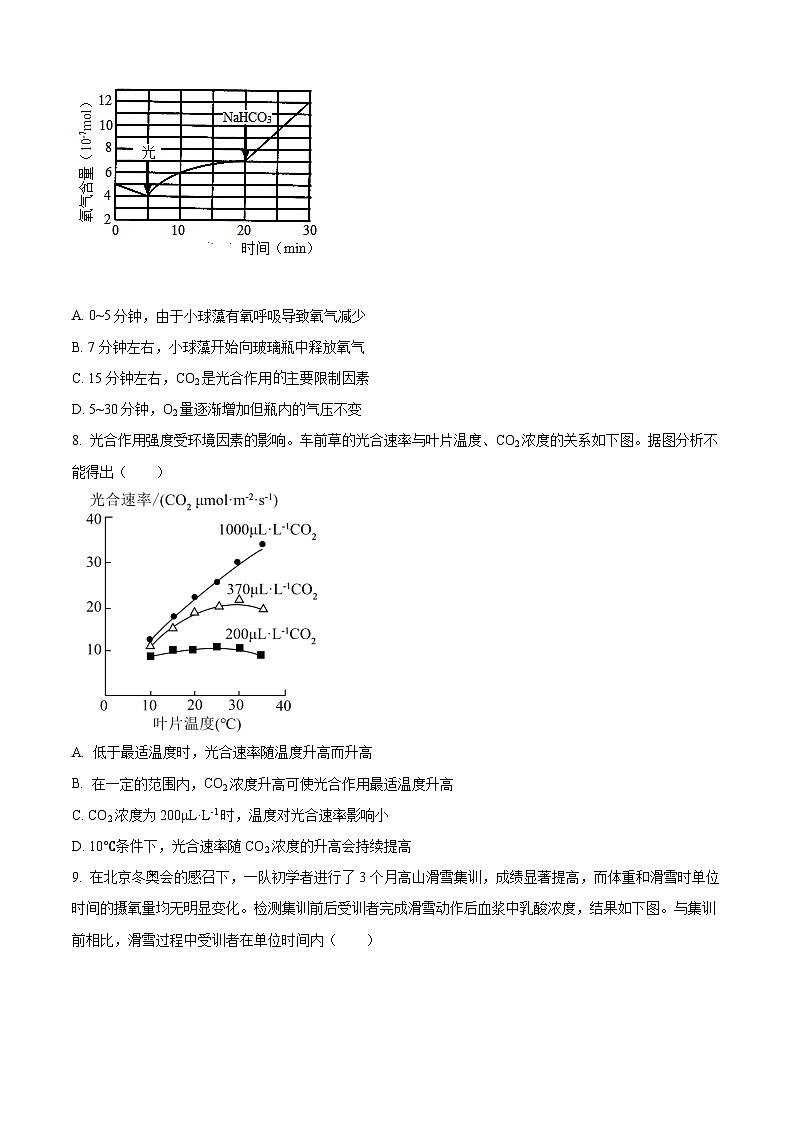 北京市第四十四中学2024-2025学年高三上学期十月月考生物试题 Word版无答案第3页