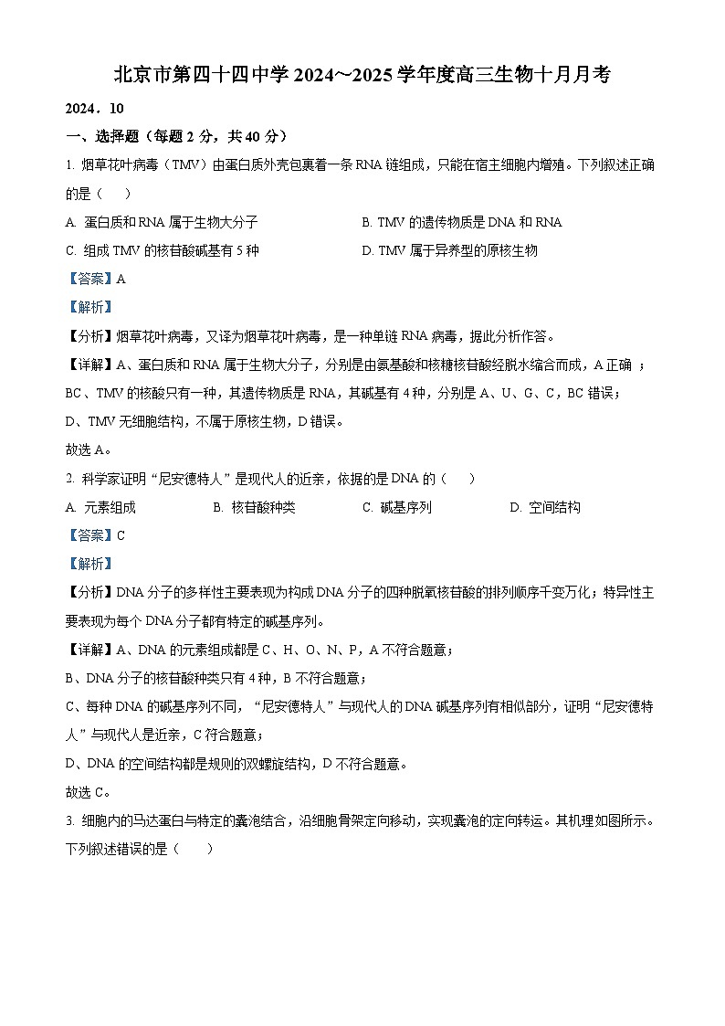 北京市第四十四中学2024-2025学年高三上学期十月月考生物试题 Word版含解析第1页