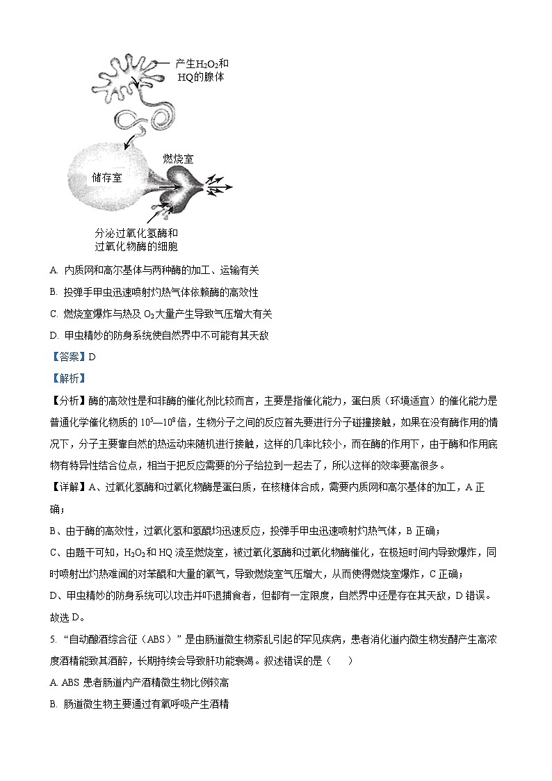 北京市第四十四中学2024-2025学年高三上学期十月月考生物试题 Word版含解析第3页
