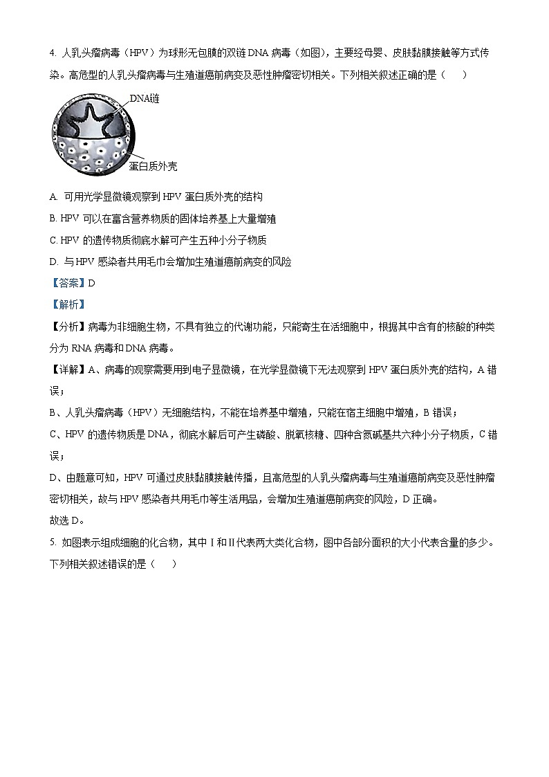 河北省沧州市四县联考2024-2025学年高一上学期10月月考生物试题 Word版含解析第3页