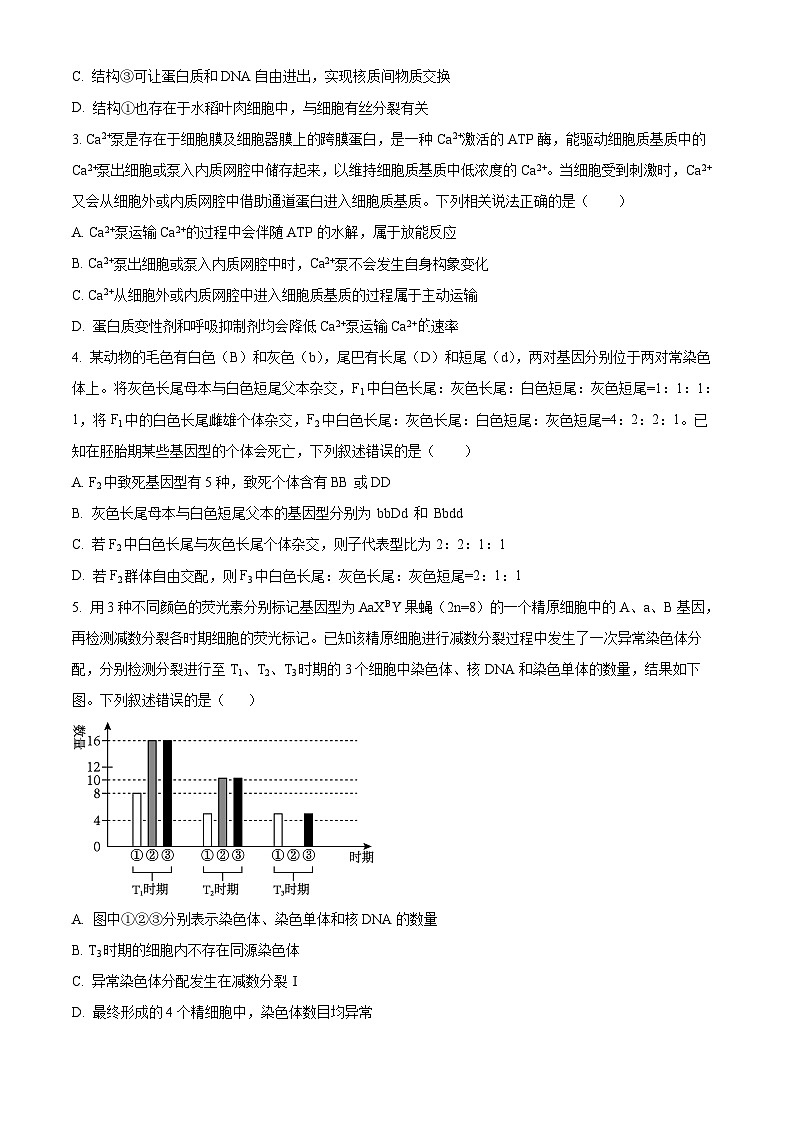 河北省邯郸市部分校2024-2025学年高三上学期第二次联考生物试题(Word版附解析)02