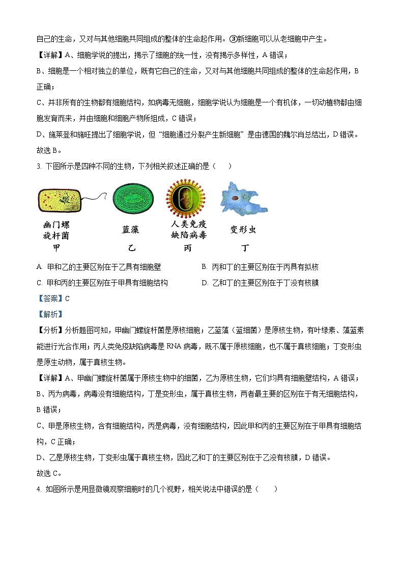 河北省邯郸市武安市第一中学2024-2025学年高一上学期10月期中考试生物试题(Word版附解析)02