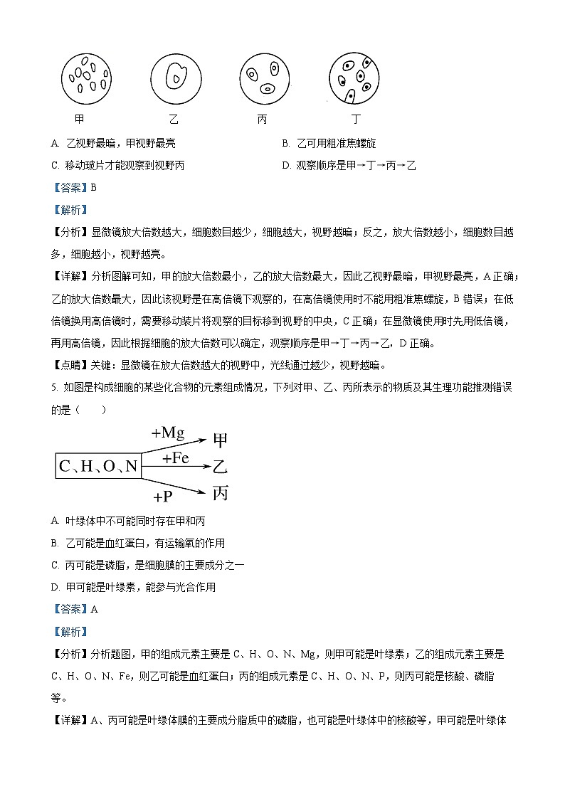 河北省邯郸市武安市第一中学2024-2025学年高一上学期10月期中考试生物试题(Word版附解析)03