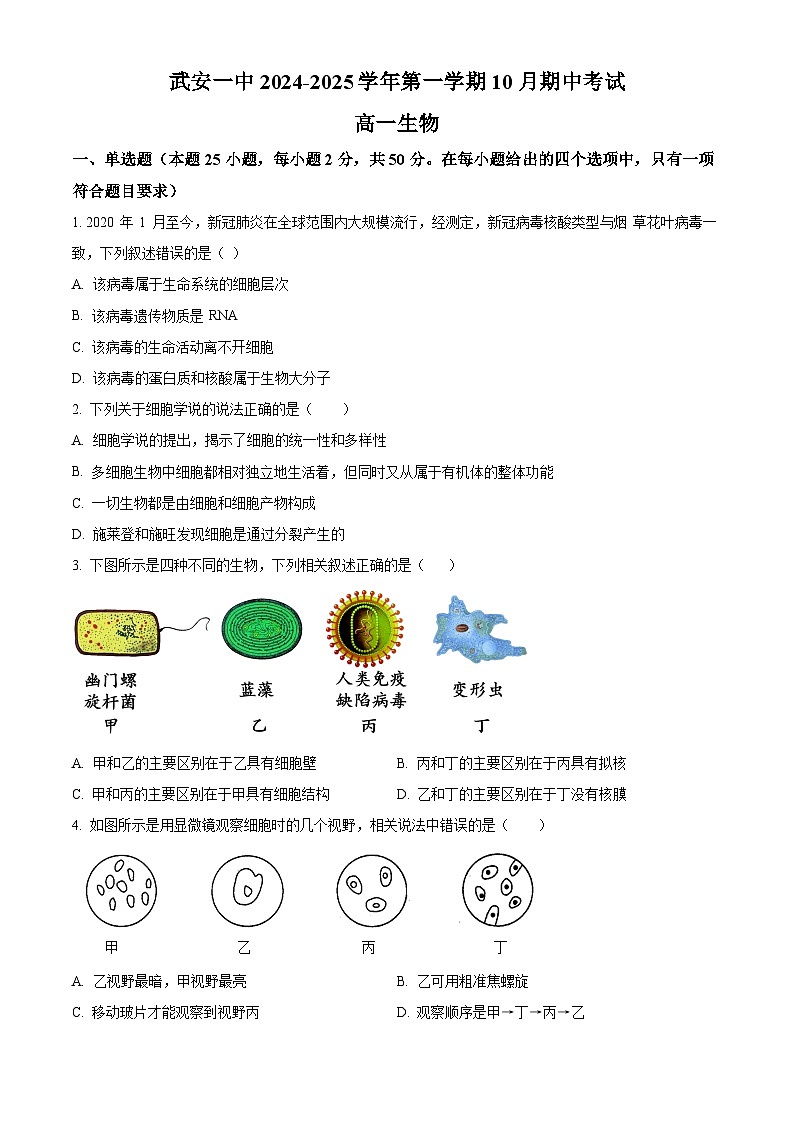 河北省邯郸市武安市第一中学2024-2025学年高一上学期10月期中考试生物试题(Word版附解析)01