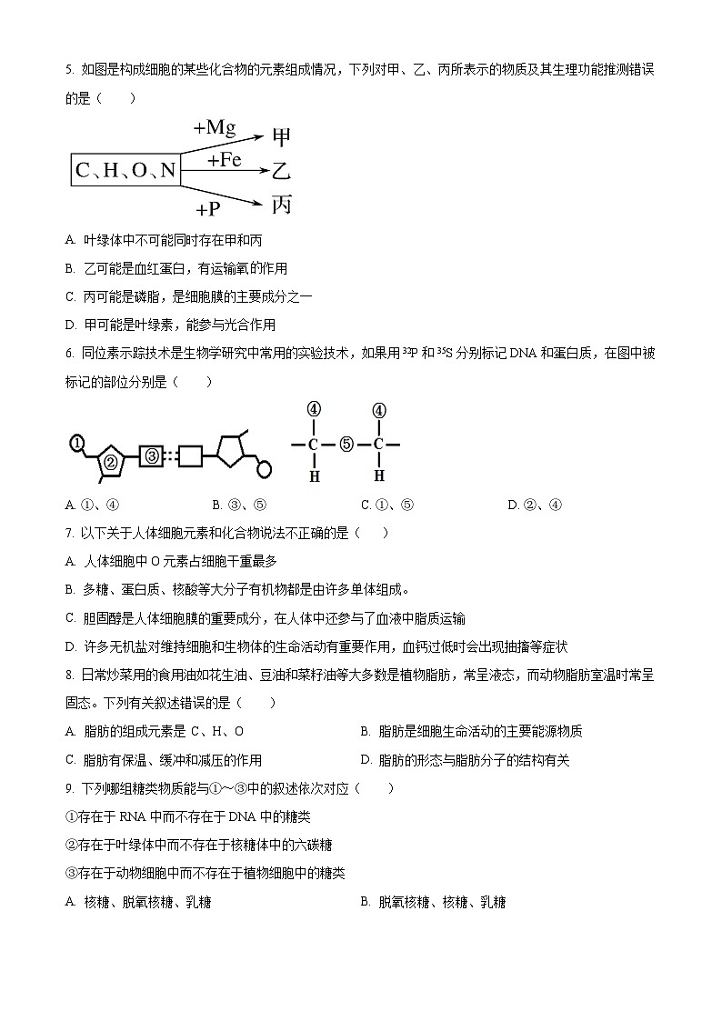 河北省邯郸市武安市第一中学2024-2025学年高一上学期10月期中考试生物试题(Word版附解析)02