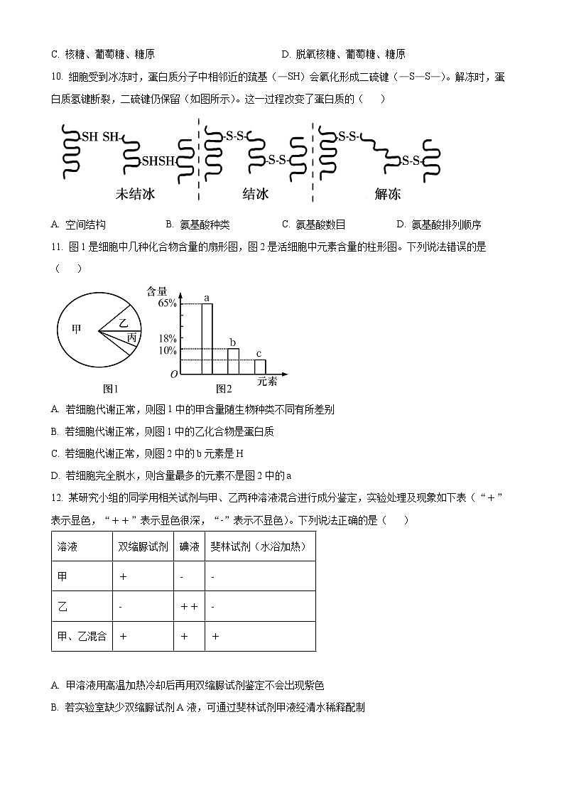 河北省邯郸市武安市第一中学2024-2025学年高一上学期10月期中考试生物试题(Word版附解析)03