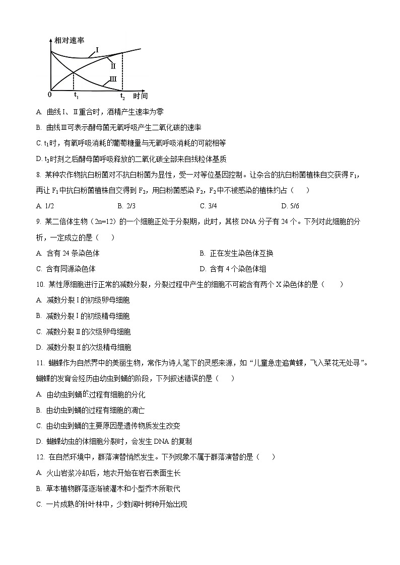 河北省衡水市桃城区2024-2025学年高三上学期10月学科素养检测生物试题 Word版无答案第3页