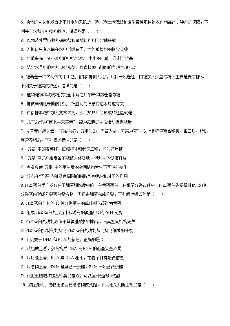 河南省新未来2022-2023学年高一上学期(11月)联考生物试题(Word版附答案)第2页