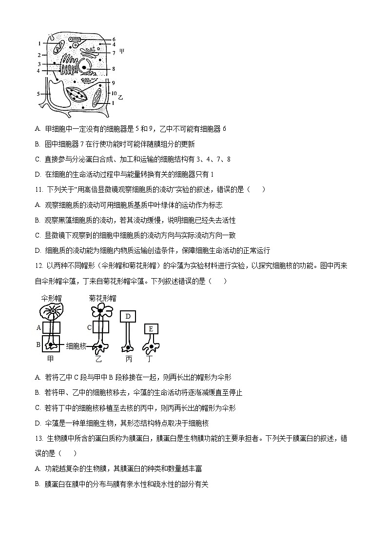 河南省新未来2022-2023学年高一上学期(11月)联考生物试题(Word版附答案)第3页