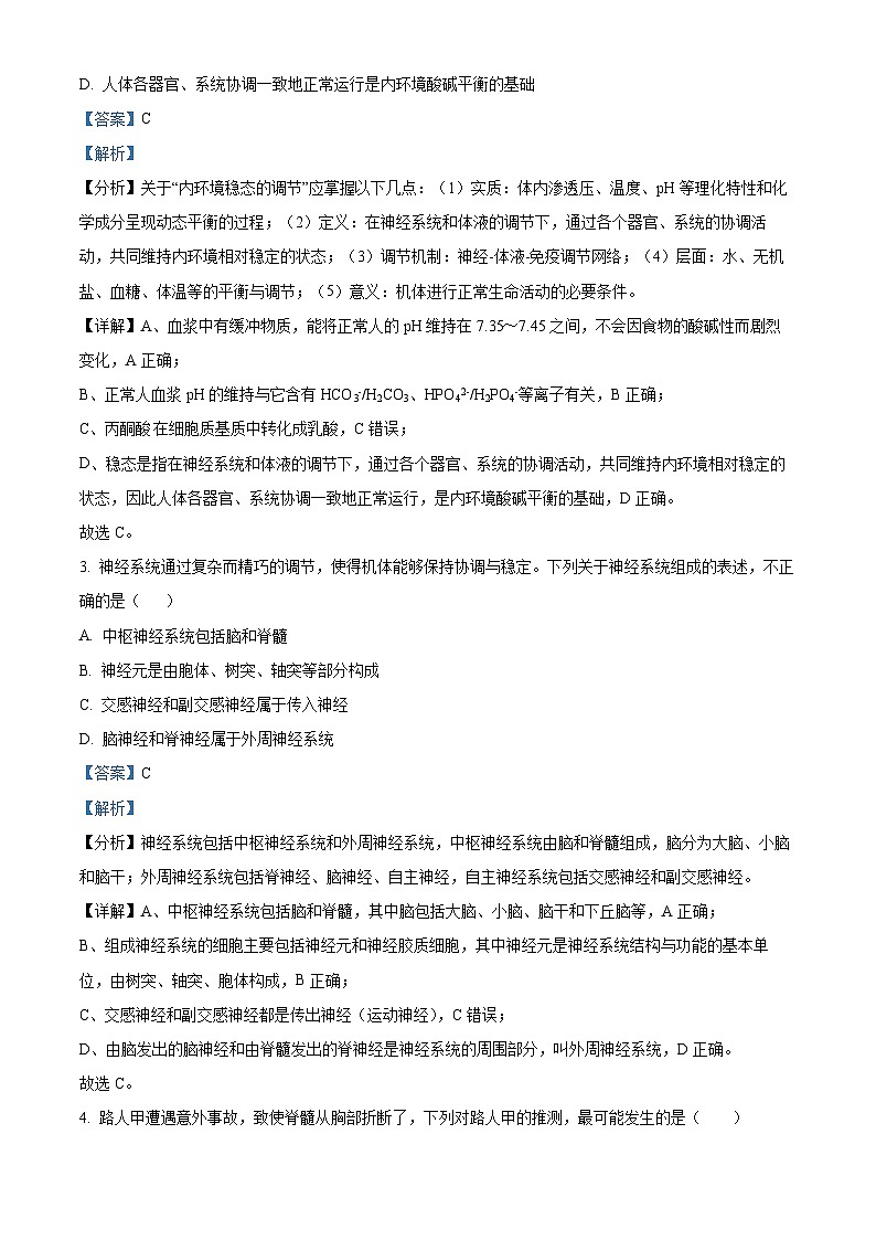 河北省邯郸市大名县第一中学2024-2025学年高二上学期10月月考生物试卷 Word版含解析第2页