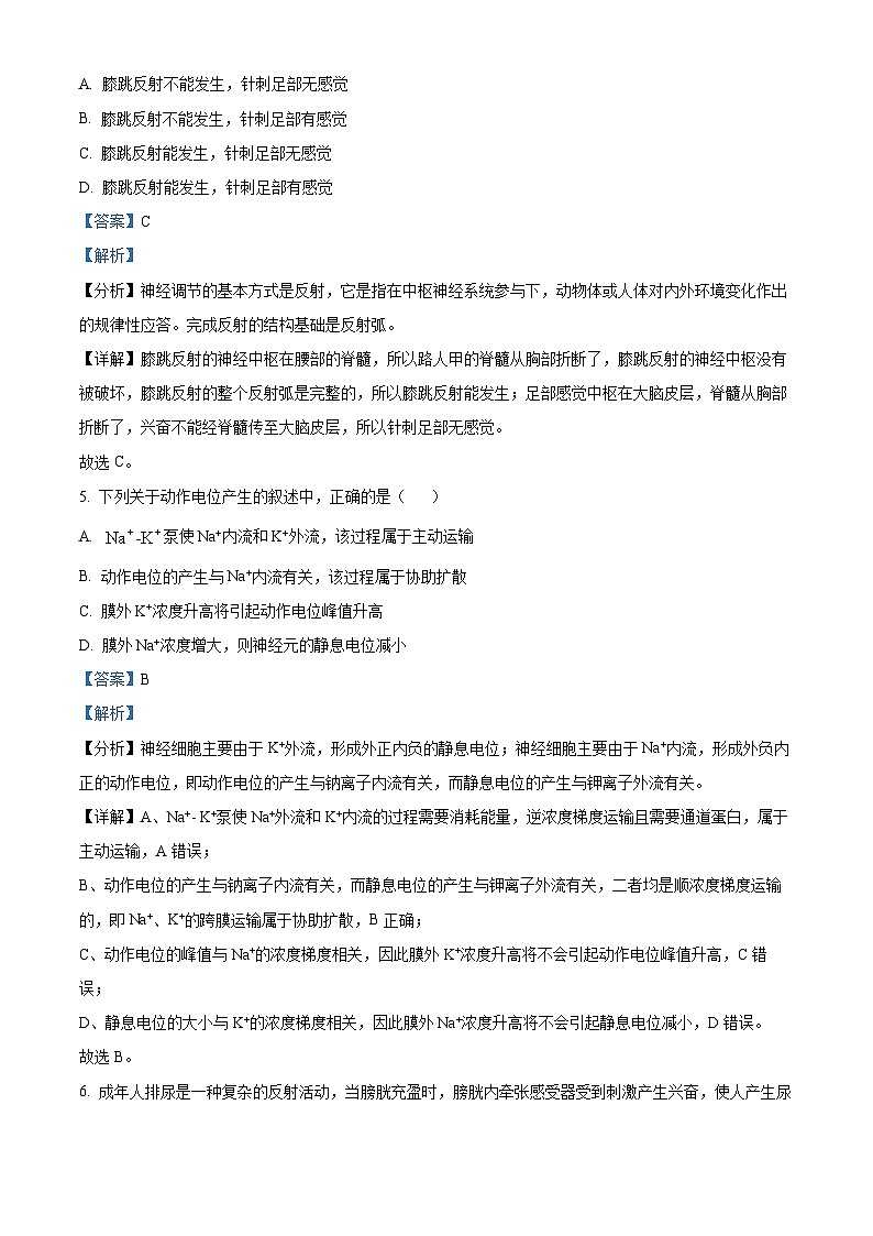 河北省邯郸市大名县第一中学2024-2025学年高二上学期10月月考生物试卷 Word版含解析第3页