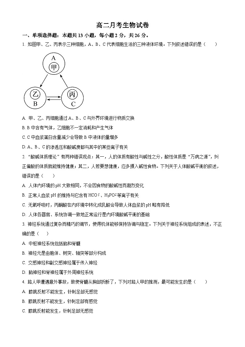 河北省邯郸市大名县第一中学2024-2025学年高二上学期10月月考生物试卷 Word版无答案第1页