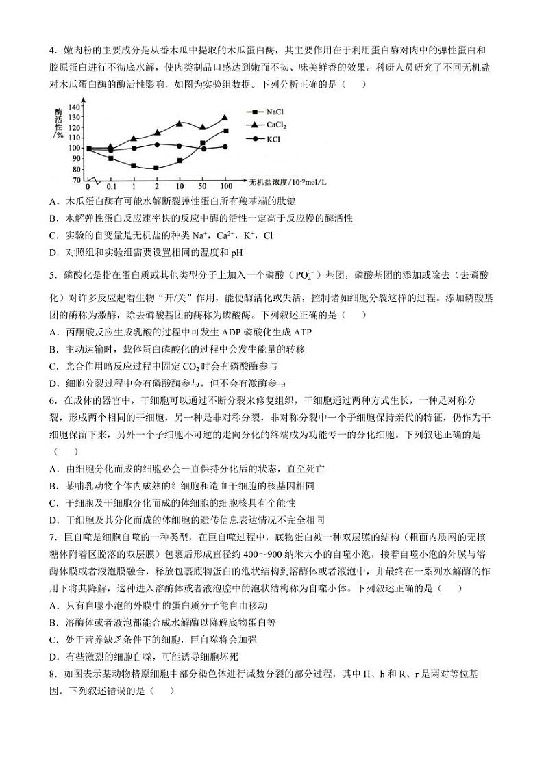 2025届山东省菏泽市高三上学期10月期中考-生物试题+答案第2页