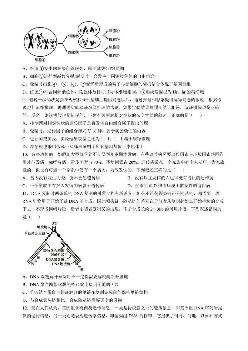 2025届山东省菏泽市高三上学期10月期中考-生物试题+答案第3页