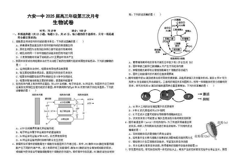安徽省六安市第一中学2024-2025学年高三上学期11月月考生物试题(Word版附解析)01