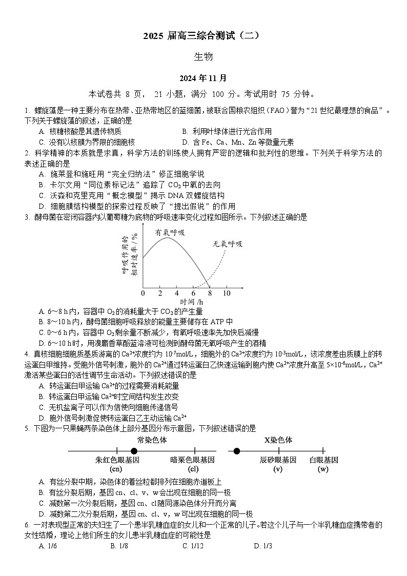 广东省华南师范大学附属中学2024-2025学年高三上学期11月综合测试(二)生物试题(Word版附答案)01