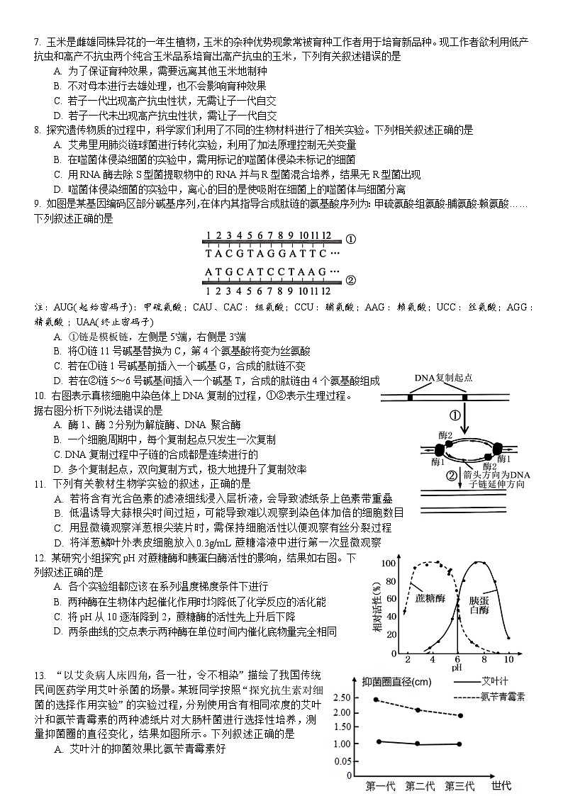 广东省华南师范大学附属中学2024-2025学年高三上学期11月综合测试(二)生物试题(Word版附答案)02