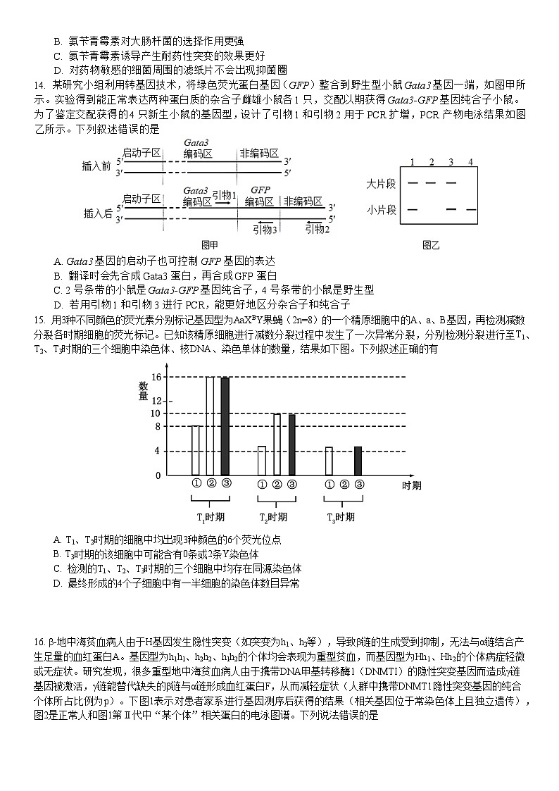 广东省华南师范大学附属中学2024-2025学年高三上学期11月综合测试(二)生物试题(Word版附答案)03